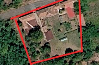 Bauernhaus kaufen in 97922 Lauda-Königshofen, Lauda-Königshofen - Bulgarien kl. Bauernhof,2 Häuser, 3000qm,Garage, 5 Nebengebäude