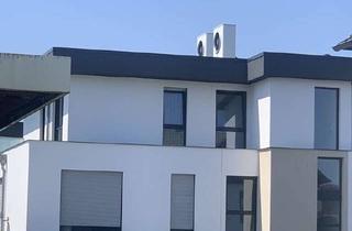 Penthouse mieten in 33758 Schloß Holte-Stukenbrock, Exklusives Penthouse mit spektakulärer L-Dachterrasse in Schloß Holte-Stukenbrock