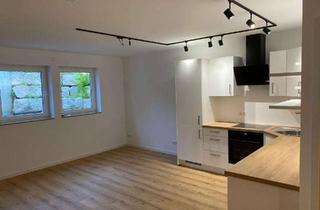 Wohnung mieten in 74343 Sachsenheim, Moderne Neubau 3 Zimmer Souterrain-Wohnung in Sachsenheim - Erstbezug