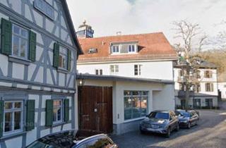 Wohnung mieten in Quellenßark 40, 65812 Bad Soden, Wohnen mit direktem Blick auf das Hundertwasserhaus - Historisches Flair in Bad Soden am Taunus