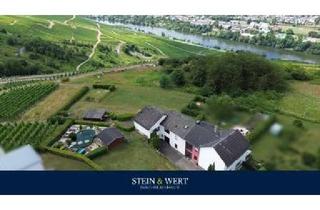 Haus kaufen in 54470 Graach, Wohnen über der Mosel: Modernisiertes Doppelangebot mit großem Grundstück