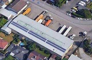 Gewerbeimmobilie mieten in Durlacherstrasse 2-4, 68775 Ketsch, Effizient nutzbare Lagerhalle in Ketsch