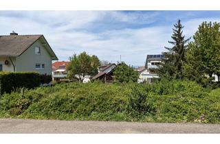 Grundstück zu kaufen in 76532 Balg, Baugrundstück in Baden-Baden-Balg