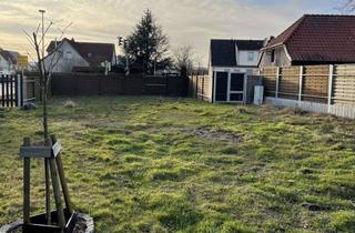 Grundstück zu kaufen in 23972 Dorf Mecklenburg, Baugrundstück ( Mischgebiet )