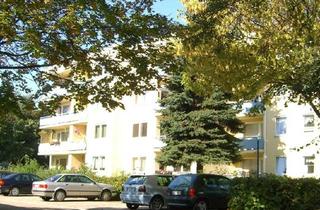 Wohnung mieten in Madererstraße 19, 94469 Deggendorf, Große 1 -Zimmer-Wohnung in ruhiger Lage