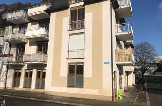 Wohnung mieten in Amalienstraße, 08056 Zwickau, Gepflegte 1-Raum-Wohnung mit Balkon und Einbauküche in Zwickau