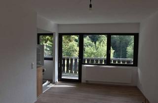 Wohnung mieten in Gaishöllpark, 77887 Sasbachwalden, Stilvolle 2-Zimmer-Erdgeschosswohnung mit 2 Balkonen und EBK in Sasbachwalden