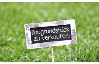 Grundstück zu kaufen in 25767 Albersdorf, attraktives Baugrundstück zu verkaufen