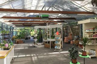 Gewerbeimmobilie kaufen in 01877 Bischofswerda, Gartenfachmarkt 20 km östlich von Dresden - an der B6!