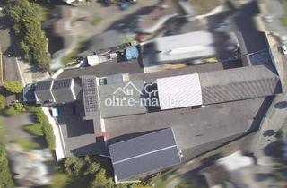 Gewerbeimmobilie kaufen in 59823 Arnsberg, Provisionsfrei: Gewerbeareal in Arnsberg - Hallen, Lager, Werkstatt, Büro