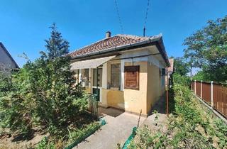Haus kaufen in 27239 Twistringen, Twistringen - Zwei Wohnhäuser auf einem Grundstück-20 km von Budapest entfernt