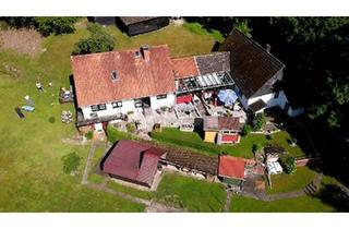 Haus kaufen in 34385 Bad Karlshafen, Bad Karlshafen - PROVISIONSFREI: Gepflegtes Haus & uriger Altbau auf 5.000m²