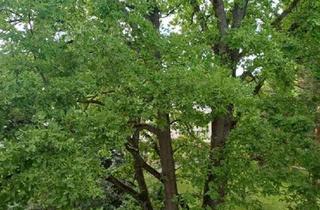 Wohnung kaufen in 68305 Gartenstadt, *** Idyllisches Familienglück im Grünen: 5 Zimmer-Wohnung in Mannheim-Gartenstadt ***