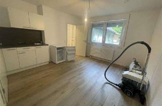 Wohnung mieten in 55743 Idar-Oberstein, frisch sanierte 1-ZKB-Wohnung am Waldrand