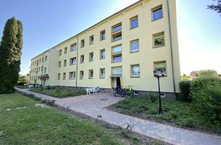 Wohnung mieten in Wüstenfelder Straße 2c, 18519 Brandshagen, Erstbeszug nach Sanierung!! 2-Raum-Wohnung in super Lage in Brandhagen