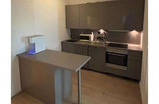Wohnung mieten in Bahnhofstraße, 22941 Bargteheide, Topmoderne 2-Zimmer-Wohnung in Bargteheide – Perfekt für Pendler (Direkt am Bahnhof!)