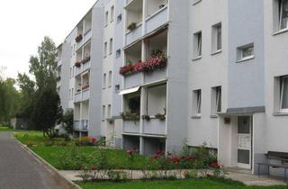 Wohnung mieten in Am Sachsenhof 8c, 01774 Klingenberg, Top sanierte 3-Zimmer-Wohnung in grünem Wohngebiet