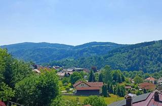 Haus kaufen in 94130 Obernzell, Geräumiges Haus mit wunderschönem Weitblick und tollem Garten