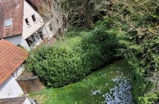 Mehrfamilienhaus kaufen in 65719 Hofheim am Taunus, Vielseitig nutzbares Mehrfamilienhaus in Hofheim-Lorsbach zu verkaufen