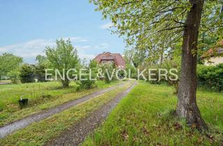 Einfamilienhaus kaufen in 38518 Gifhorn, Idyllisches Einfamilienhaus mit weitläufigem Grundstück in ruhiger Wohnlage