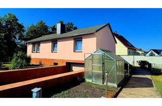 Haus kaufen in 06386 Elsnigk, Einfamilienwohnhaus mit gepflegtem Grundstück - zeitnah beziehbar