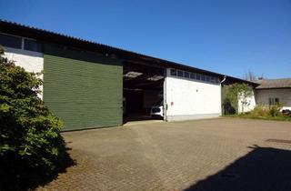 Gewerbeimmobilie kaufen in 29303 Bergen, 5.604 m² Grundstück mit repräsentativer Reetdach-Villa, Gästehaus und Halle im Kernort von Bergen