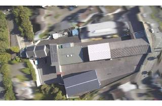 Gewerbeimmobilie kaufen in 59823 Arnsberg, Provisionsfrei: Gewerbeareal in Arnsberg - Hallen, Lager, Werkstatt, Büro