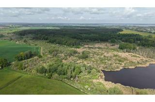 Anlageobjekt in 17213 Göhren-Lebbin, Exklusive Eigenjagd „Katerberg“ in Göhren-Lebbin – ca. 155 ha Eigenjagdbezirk !