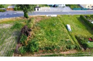 Grundstück zu kaufen in 04509 Krostitz, Ihr Platz im Grünen: Grundstück in ruhiger Lage nahe Leipzig