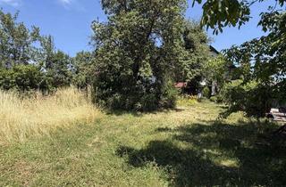 Grundstück zu kaufen in 71566 Althütte, Baugrundstück in bester, grüner Lage!