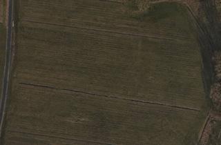 Grundstück zu kaufen in 21709 Himmelpforten, Landwirtschaftliche Fläche in Himmelpforten