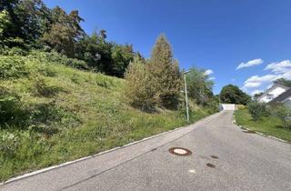 Grundstück zu kaufen in 79780 Stühlingen, Generationenbauplatz - Zwei Bauplätze für 3 Häuser nebeneinander