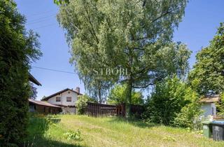 Grundstück zu kaufen in 82064 Straßlach-Dingharting, OASE I Herrliches Eckgrundstück in schönster Natur