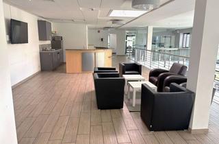 Büro zu mieten in Porschestraße 23, 21423 Winsen, Modernisierte Bürofläche in Winsen (Luhe)