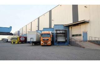 Gewerbeimmobilie mieten in 74889 Sinsheim, ***Logivest** Lagerhalle direkt bei Sinsheim – Direkt an der A6