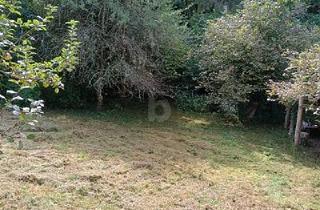 Grundstück zu kaufen in 66663 Merzig, IDYLLISCH, VIEL PLATZ FÜR IHR PROJEKT
