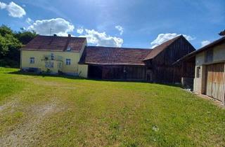 Bauernhaus kaufen in 92546 Schmidgaden, Ehemalige Hofstelle mit Wald und Wasserfläche wartet auf neue Besitzer...