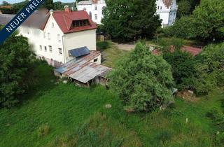 Haus kaufen in 17091 Wrodow, Wrodow - Geschichtsträchtig, mit großem Garten und Freiraum
