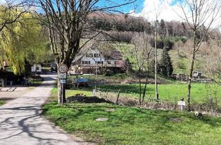Bauernhaus kaufen in 77791 Berghaupten, Berghaupten - Bauernhof für Freizeitpferdehaltung im vorderen Kinzigtal