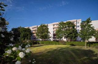 Wohnung mieten in Carl-Schorlemmer-Ring 57, 06122 Nördliche Neustadt, Möblierte 3-Raum-Wohnung mit Einbauküche inklusive Elektrogeräten