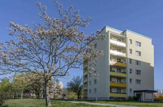 Wohnung mieten in Poznaner Straße 23, 03048 Sachsendorf, Schöne Wohnung im Würfelhaus