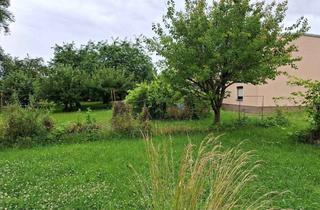 Haus kaufen in 04779 Wermsdorf, Günstig einsteigen, groß ankommen – Haus für Familien in Wermsdorf