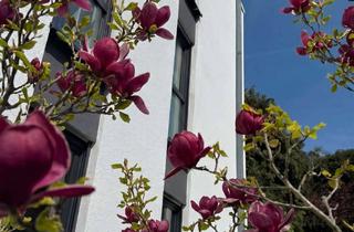 Haus kaufen in 61476 Kronberg, Studiohaus am Quellenpark mit Tiefgarage in bester Lage - provisionsfrei