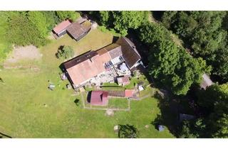 Haus kaufen in 34385 Bad Karlshafen, Einzigartiges Wohnhaus mit historischem Nebengebäude und riesigem Naturgrundstück