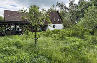 Haus kaufen in 17379 Heinrichswalde, hübsches Wohnhaus direkt am Waldrand ***erfüllen Sie sich ihren Traum***