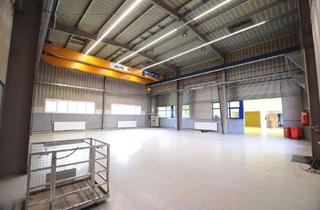 Büro zu mieten in 78333 Stockach, Top-Moderne Gewerbehalle mit repräsentativem Büro- und Eingangsbereich in Stockach OT.