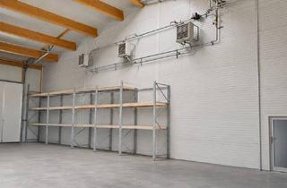 Büro zu mieten in 63654 Büdingen, Großzügige Gewerbehalle mit ca. 500 m², 4 Büros, 2 WC und zwei ebenerdigen Rolltoren