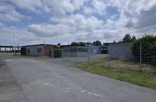 Büro zu mieten in 38324 Kissenbrück, Flexible Lager- und Gewerbehalle mit Büro in Kissenbrück