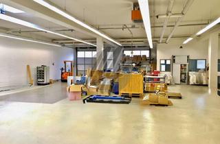 Büro zu mieten in 65795 Hattersheim, AB SOFORT ✓ Gewerbeobjekt mit Serviceflächen (230 m²) & Büroflächen (200 m²) zu vermieten