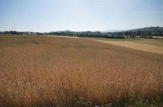 Anlageobjekt in 74248 Ellhofen, Ackerland bei Grantschen zu verkaufen!